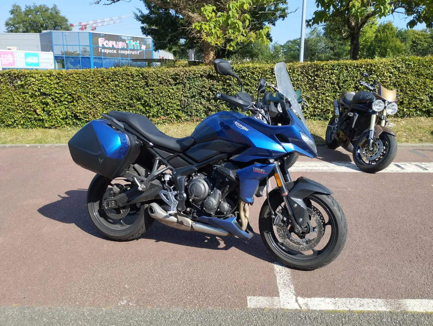 Triumph Tiger Sport Bleu - 1