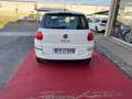 Fiat 500L 1.3 Multijet 95 CV Business NEOPATENTATI Bianco - thumbnail 14