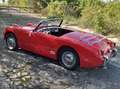 Austin-Healey Sprite Frog eye Rosso - thumbnail 3