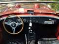 Austin-Healey Sprite Frog eye Rosso - thumbnail 6