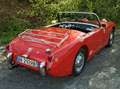 Austin-Healey Sprite Frog eye Rosso - thumbnail 4