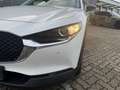 Mazda CX-30 2.5L e-SKYACTIV G 140ps Homura Allwetterreifen Blanc - thumbnail 3