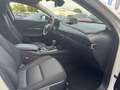 Mazda CX-30 2.5L e-SKYACTIV G 140ps Homura Allwetterreifen Blanc - thumbnail 21