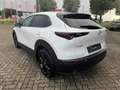 Mazda CX-30 2.5L e-SKYACTIV G 140ps Homura Allwetterreifen Blanc - thumbnail 6