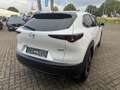 Mazda CX-30 2.5L e-SKYACTIV G 140ps Homura Allwetterreifen Blanc - thumbnail 8