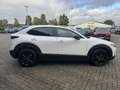 Mazda CX-30 2.5L e-SKYACTIV G 140ps Homura Allwetterreifen Blanc - thumbnail 9