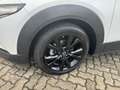 Mazda CX-30 2.5L e-SKYACTIV G 140ps Homura Allwetterreifen Blanc - thumbnail 4