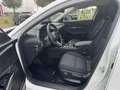 Mazda CX-30 2.5L e-SKYACTIV G 140ps Homura Allwetterreifen Blanc - thumbnail 11