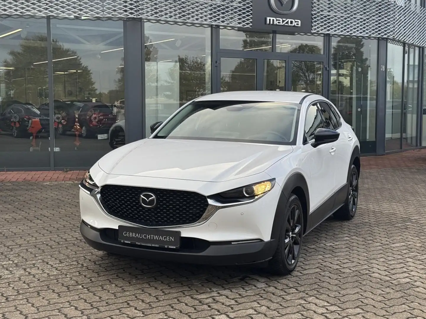 Mazda CX-30 2.5L e-SKYACTIV G 140ps Homura Allwetterreifen Blanc - 1