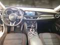 Alfa Romeo Stelvio 2.2 Turbo Diesel 160CV Business AT8 RWD - thumbnail 7