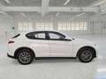Alfa Romeo Stelvio 2.2 Turbo Diesel 160CV Business AT8 RWD - thumbnail 3