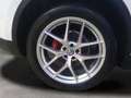 Alfa Romeo Stelvio 2.2 Diésel 154kW (210CV) Executive Q4 Weiß - thumbnail 24