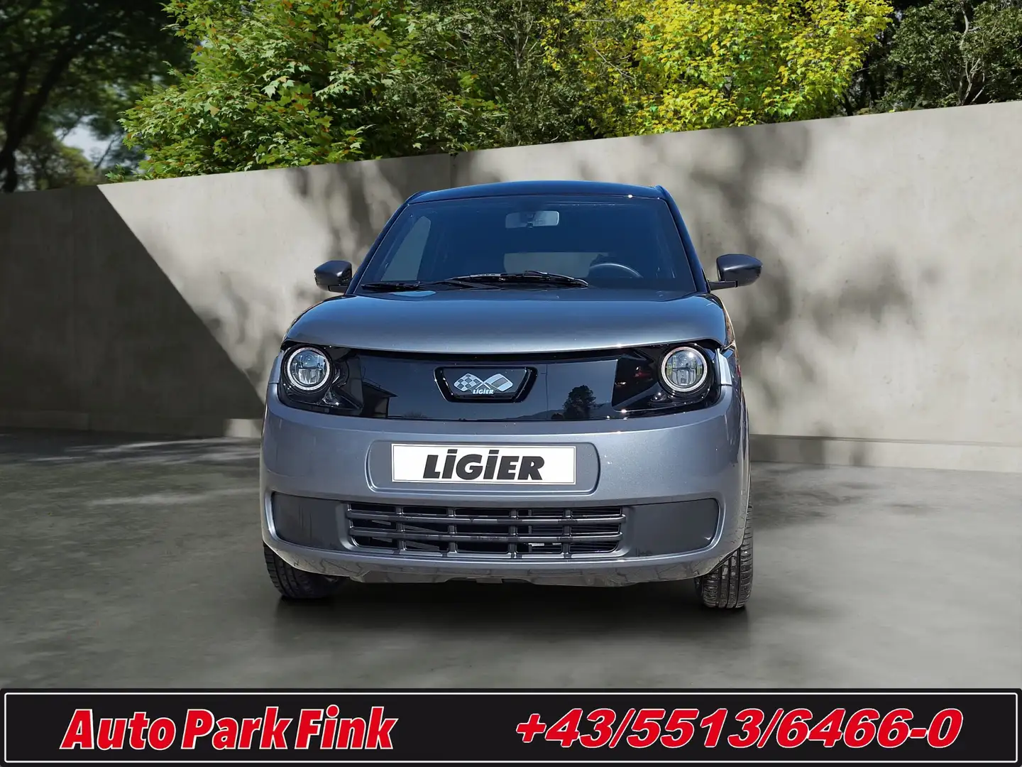 Ligier Myli E.PIC L6e Diesel Servo graphitgrau /schwarz Gris - 2