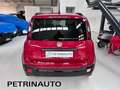 Fiat Panda 1.0 FireFly S&S Hybrid Pandina 5 Posti Km.0 Rojo - thumbnail 6