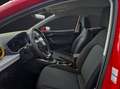 SEAT Ibiza TSI Style LED Climatronic AID GRA PDC SH f Rouge - thumbnail 12