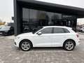 Audi Q5 2.0 TDI S-LINE  quattro S tronic Blanco - thumbnail 4
