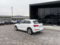 Audi Q5 2.0 TDI S-LINE  quattro S tronic Blanco - thumbnail 10