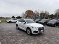 Audi Q5 2.0 TDI S-LINE  quattro S tronic Blanco - thumbnail 5