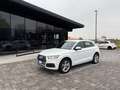 Audi Q5 2.0 TDI S-LINE  quattro S tronic Blanco - thumbnail 2