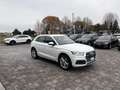 Audi Q5 2.0 TDI S-LINE  quattro S tronic Blanco - thumbnail 6