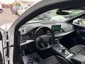 Audi Q5 2.0 TDI S-LINE  quattro S tronic Blanco - thumbnail 12
