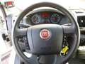 Fiat Ducato 2,3 JTD Kühlkasten/Automatik/Navi/Klima Weiß - thumbnail 9