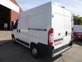 Fiat Ducato 2,3 JTD Kühlkasten/Automatik/Navi/Klima Weiß - thumbnail 4