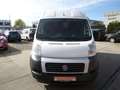 Fiat Ducato 2,3 JTD Kühlkasten/Automatik/Navi/Klima Weiß - thumbnail 7