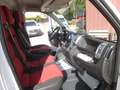 Fiat Ducato 2,3 JTD Kühlkasten/Automatik/Navi/Klima Weiß - thumbnail 18