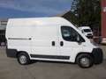 Fiat Ducato 2,3 JTD Kühlkasten/Automatik/Navi/Klima Weiß - thumbnail 2