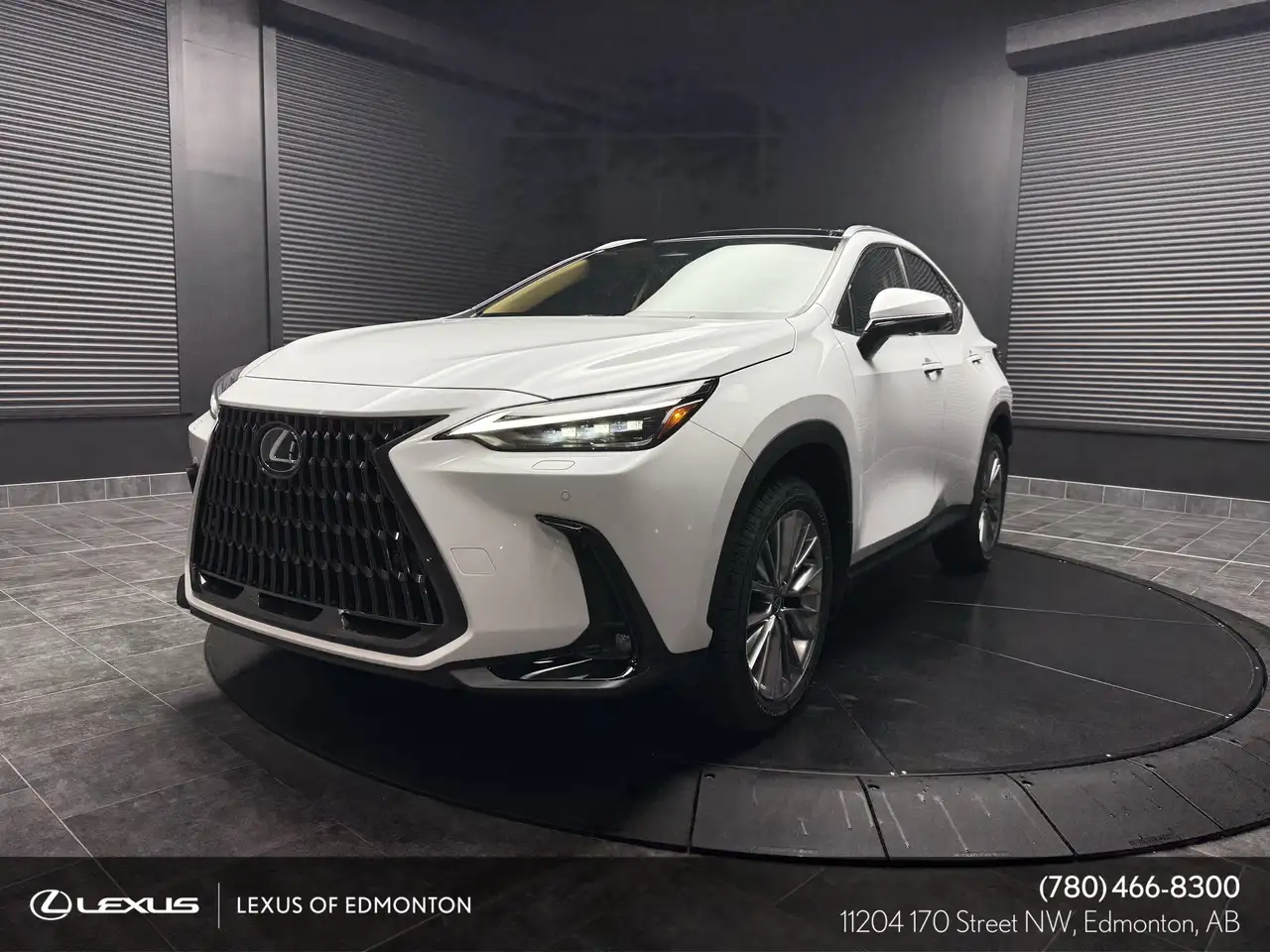 2026 Lexus NX