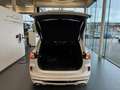 Ford Kuga VIGNALE PLUG-IN HYBRID FULL OPTION 42000KM Blanc - thumbnail 7