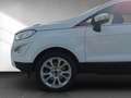 Ford EcoSport Titanium Blanc - thumbnail 20
