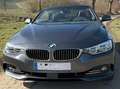 BMW 440 Allr.+Cabrio-Komf.-Paket+Lux.+HK+AHK+Leder+Head-up Grau - thumbnail 6