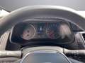 Nissan Primastar PRIMASTAR Seaside by Dethleffs L1H1 dCI 170 Gris - thumbnail 12