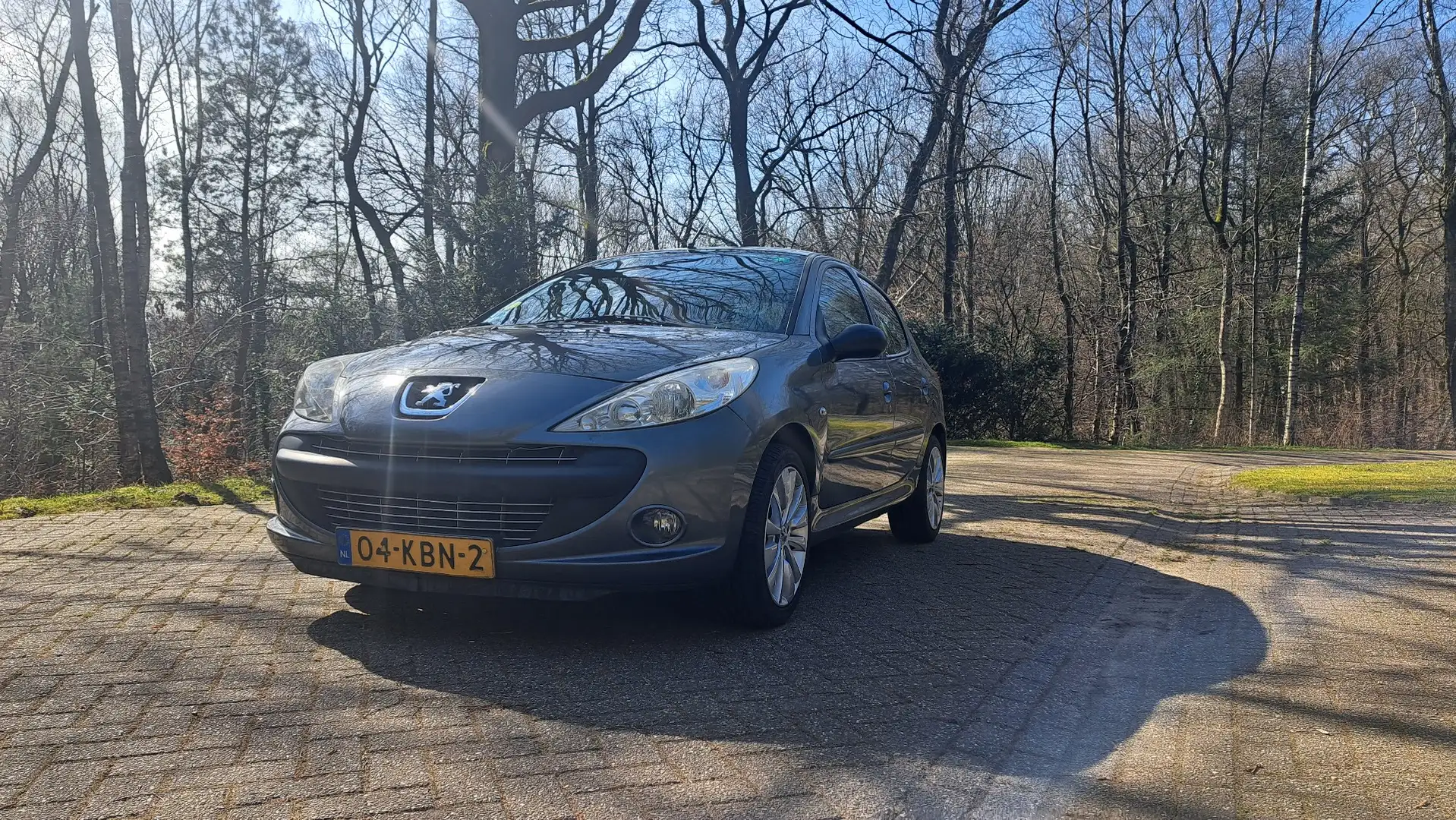 Peugeot 206 206+ 75 - 1