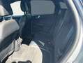 Ford Kuga 2.5 Duratec PHEV ST-LINE X Silber - thumbnail 9