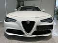 Alfa Romeo Giulia ''Navi, Einparkhilfe'' Weiß - thumbnail 2