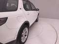 Land Rover Discovery Sport 2.0d i4 mhev HSE awd 150cv 7p.ti auto Bianco - thumbnail 40