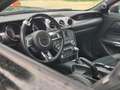 Ford Mustang Mustang Fastback 2.3 ecoboost 317cv auto Negru - thumbnail 21