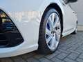 Volkswagen Golf VIII R 4M Black Style PANOD LEDER H&K HuD Bianco - thumbnail 6