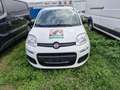 Fiat Panda Autogas LPG Weiß - thumbnail 3
