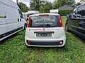Fiat Panda Autogas LPG Weiß - thumbnail 10