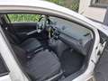 Mazda 2 1.3 TS-Plus 16"LMV, Clima, Cruise Blanc - thumbnail 14