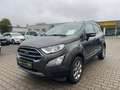 Ford EcoSport 1.0 EcoBoost Titanium Navi+SHZ+Winterp. Gris - thumbnail 2
