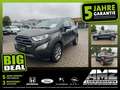 Ford EcoSport 1.0 EcoBoost Titanium Navi+SHZ+Winterp. Gris - thumbnail 1