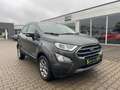 Ford EcoSport 1.0 EcoBoost Titanium Navi+SHZ+Winterp. Gris - thumbnail 7