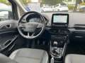 Ford EcoSport 1.0 EcoBoost Titanium Navi+SHZ+Winterp. Gris - thumbnail 11