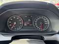 SEAT Leon 1.0 TSI Reference| LED, Clima, Navi, Cruise, CarPl Rosso - thumbnail 12