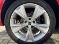 SEAT Leon 1.0 TSI Reference| LED, Clima, Navi, Cruise, CarPl Rosso - thumbnail 6